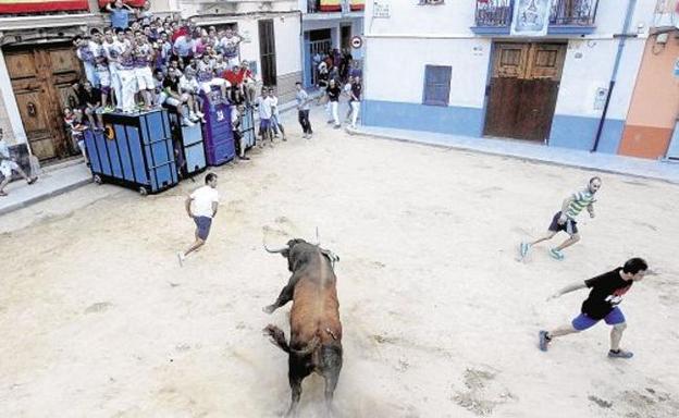 Celebración de los 'bous al carrer' de Puçol.