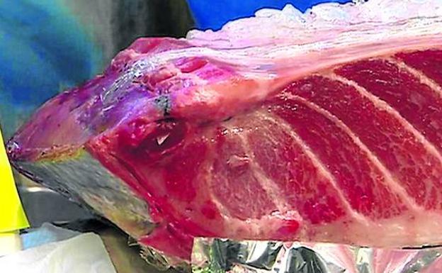 La UE exige a España que zanje un fraude con atún rojo tras cientos de intoxicaciones
