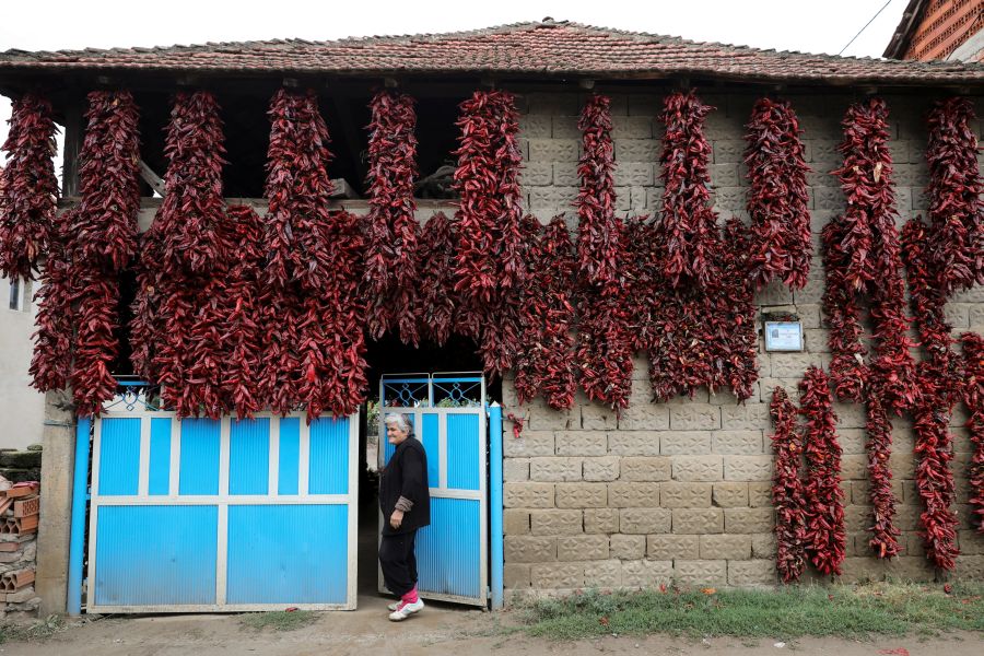 Una familia recoge y prepara pimientos para secarlos en la fachada de la casa familiar, en el sur de Serbia. 
