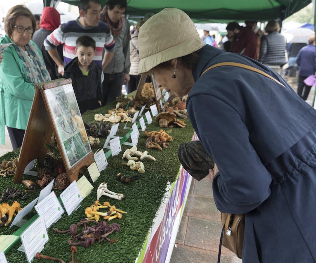 'Perretxiko Jaia´ cierra hoy las XIX Jornadas de Micología y Gastronomía organizadas por el Club Deportivo de Loiola. Esta fiesta donde reinan las setas se ha celebrado de 10:30 a 14:30 horas en la plaza de las Lavanderas, y a pesar de la lluvia han sido muchos los que se han acercado al barrio. 