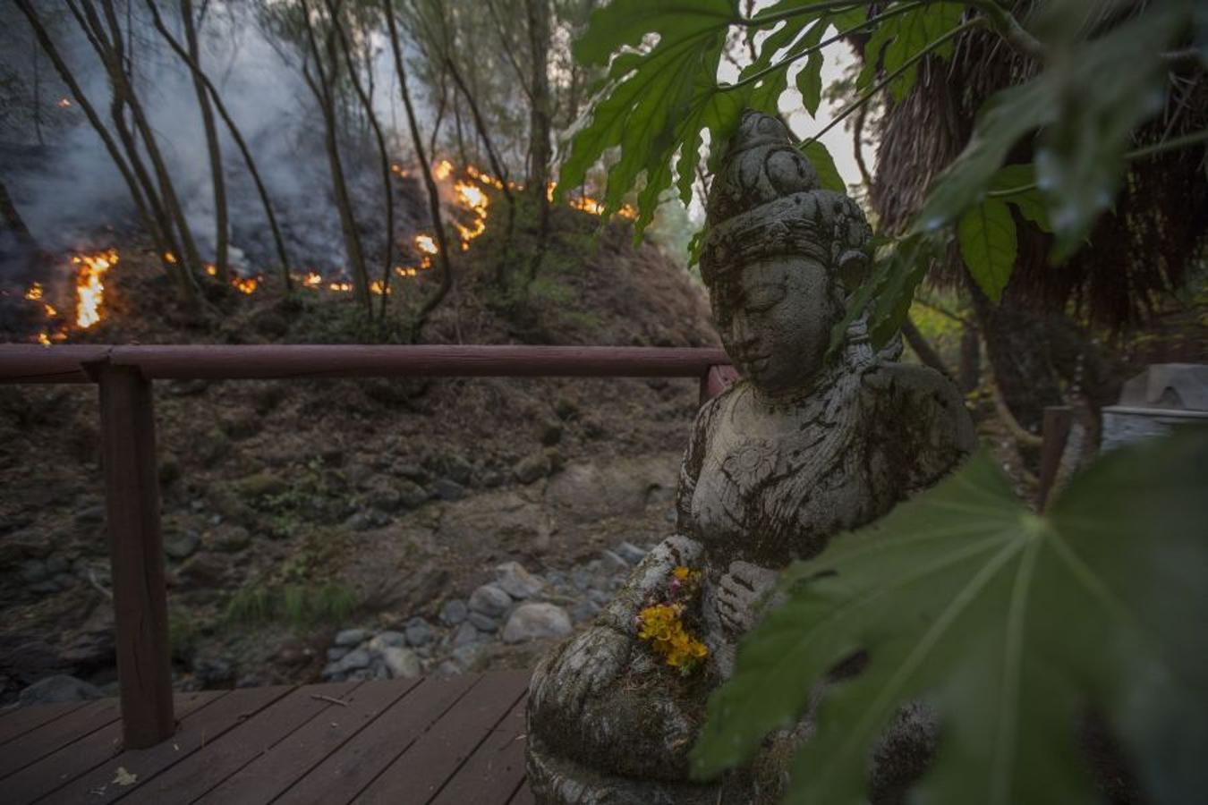 Al menos 40 personas han muerto, muchas siguen desparecidas y alrededor de 5.700 edificios han sido destruidos desde que hace una semana los incendios comenzasen a arrasar California. 