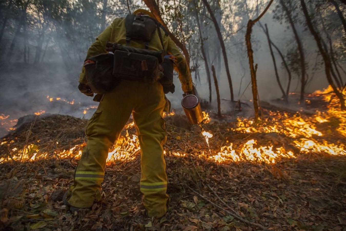 Al menos 40 personas han muerto, muchas siguen desparecidas y alrededor de 5.700 edificios han sido destruidos desde que hace una semana los incendios comenzasen a arrasar California. 