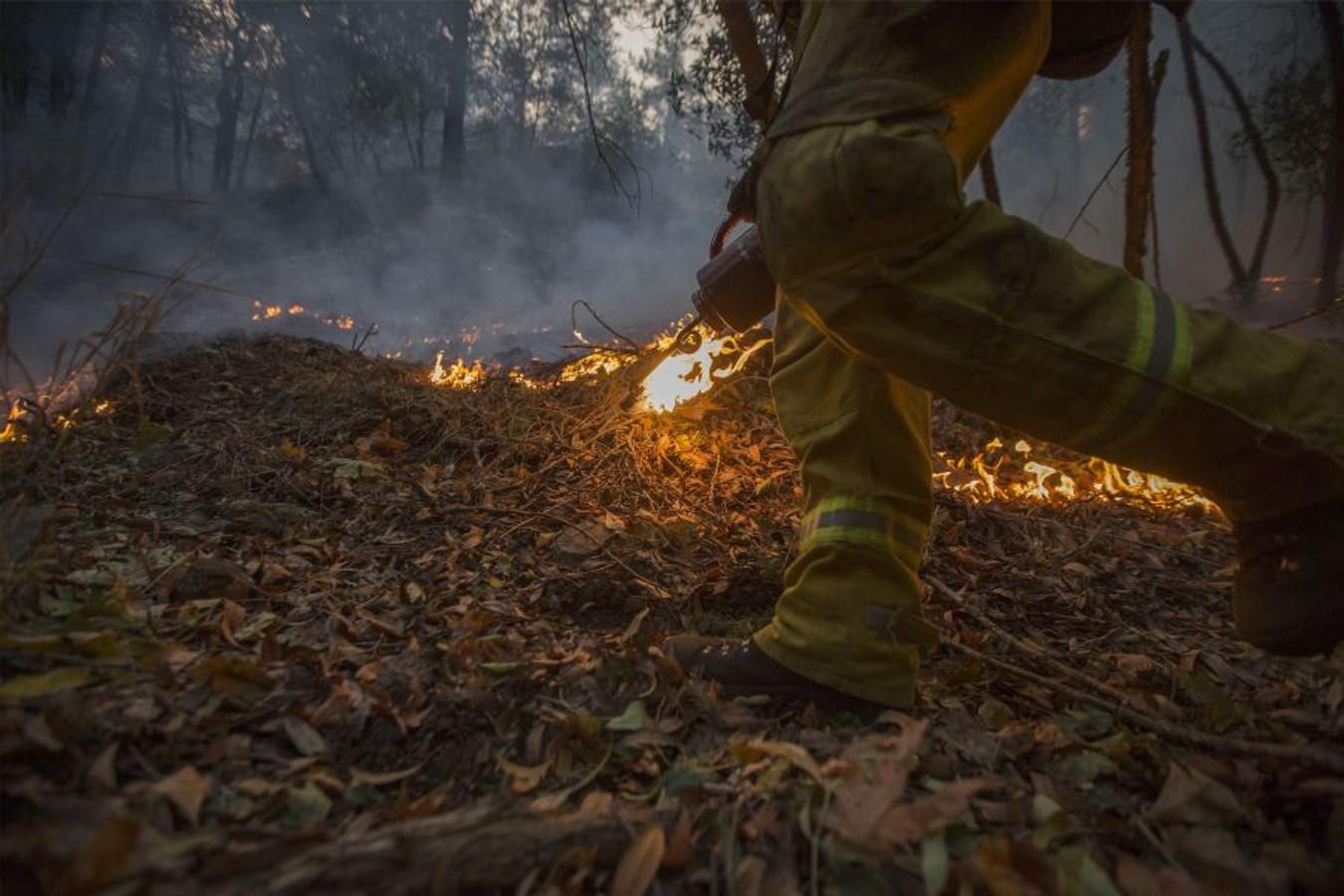 Al menos 40 personas han muerto, muchas siguen desparecidas y alrededor de 5.700 edificios han sido destruidos desde que hace una semana los incendios comenzasen a arrasar California. 