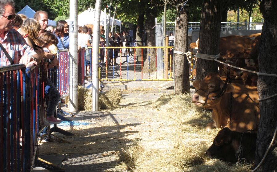 Feria Rural en Errenteria