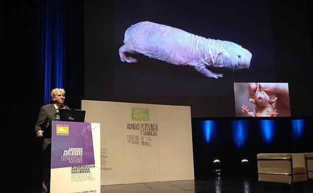 El codirector de Atapuerca, Juan Luis Arsuaga, durante el congreso 'Carta Donostia' en el Kursaal. 