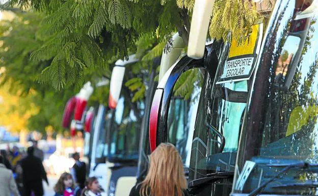 El supuesto pacto entre empresas de autobuses seguía instrucciones para concurrir a concursos públicos a precios máximos.