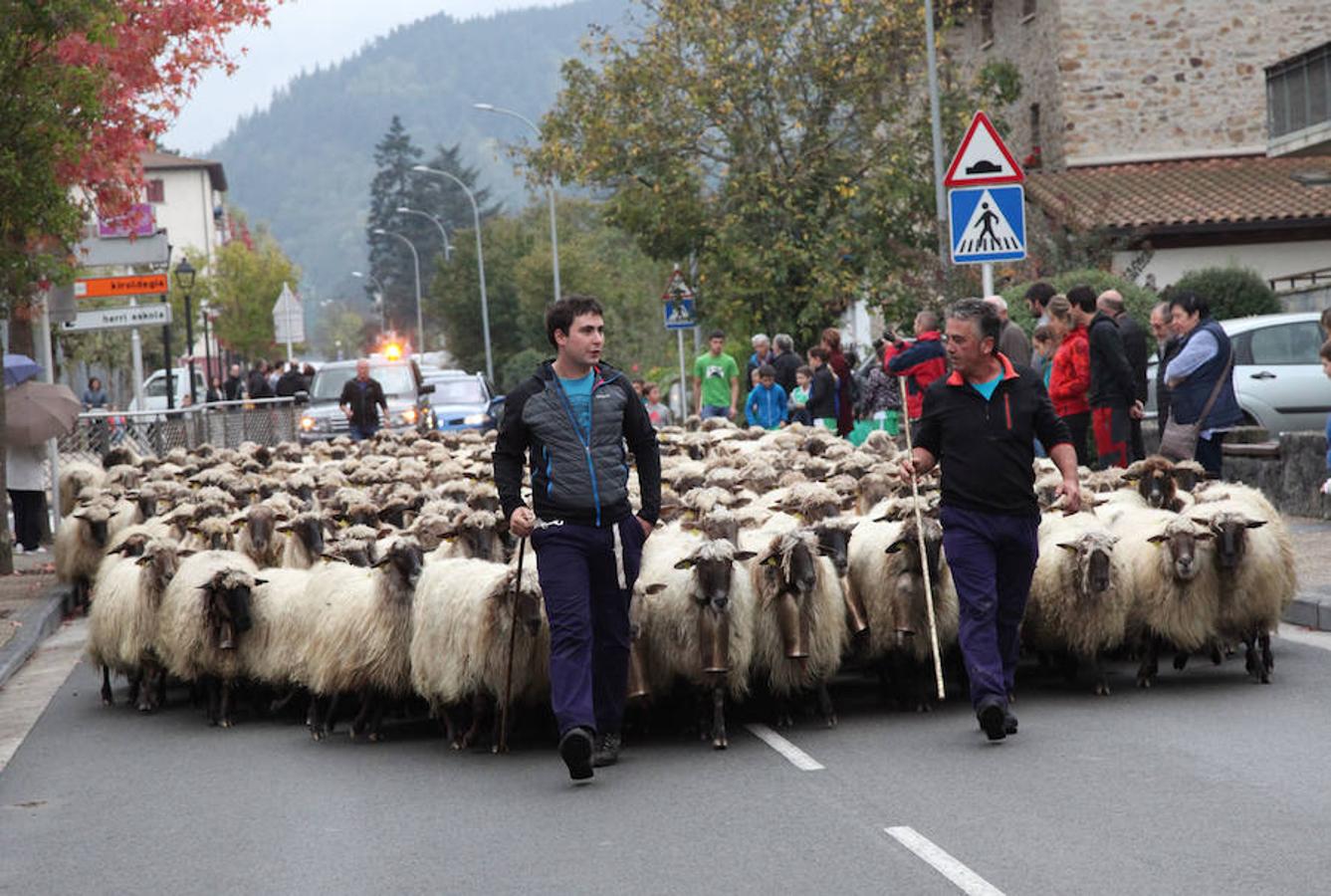 Este viernes y sábados se ha celebrado la feria del Concurso de Euskal Herria de queso pastor en Ordizia. 