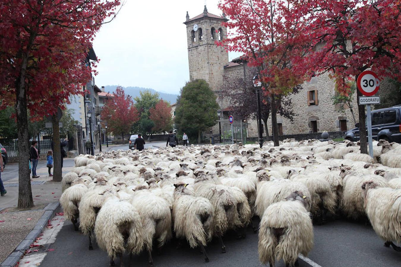 Este viernes y sábados se ha celebrado la feria del Concurso de Euskal Herria de queso pastor en Ordizia. 