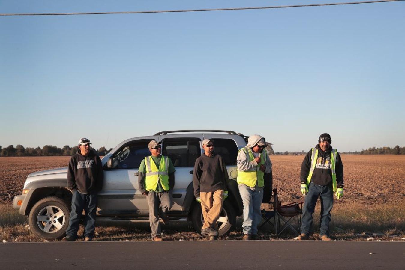 A pesar de los daños sufridos en la cosecha de algodón en EEUU debido al huracán Harvey, se espera que la producción de algodón exceda los niveles del año pasado