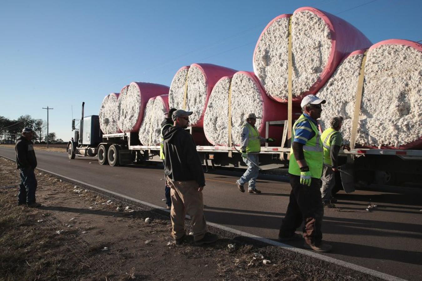 A pesar de los daños sufridos en la cosecha de algodón en EEUU debido al huracán Harvey, se espera que la producción de algodón exceda los niveles del año pasado