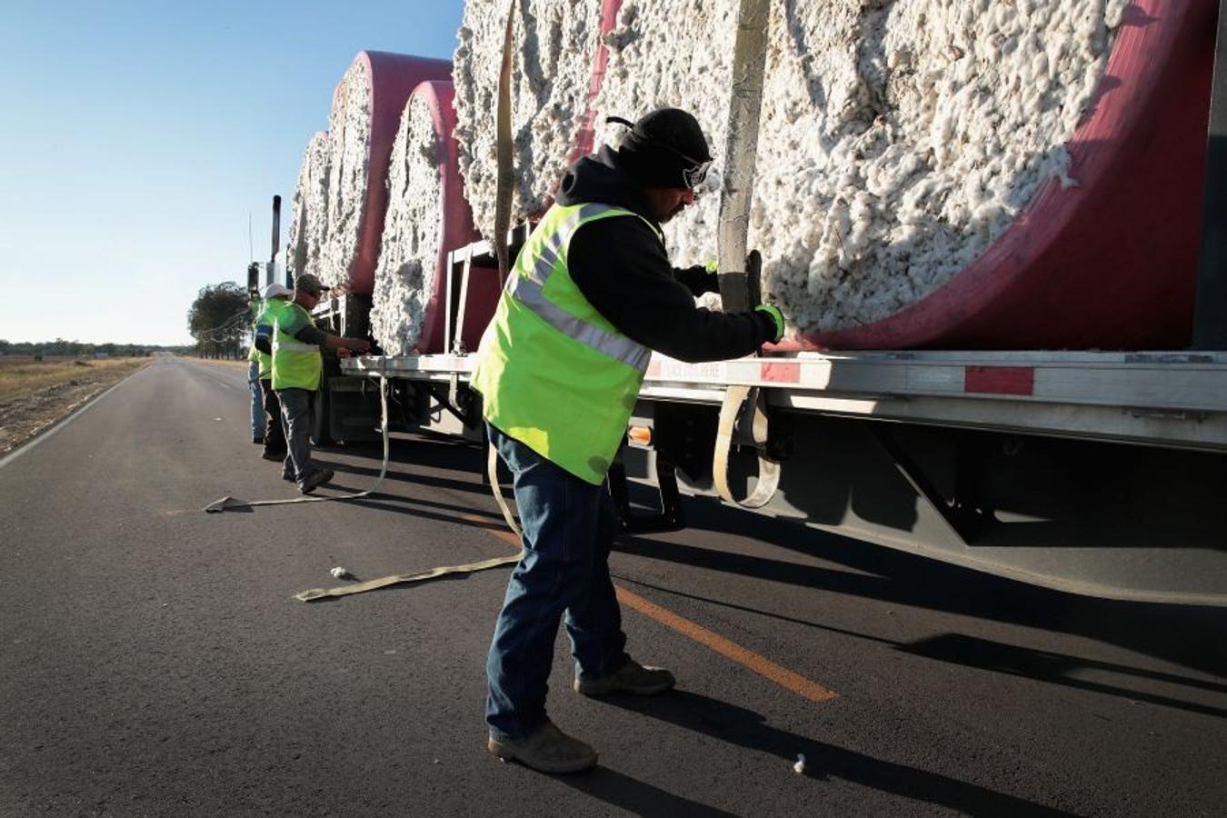 A pesar de los daños sufridos en la cosecha de algodón en EEUU debido al huracán Harvey, se espera que la producción de algodón exceda los niveles del año pasado