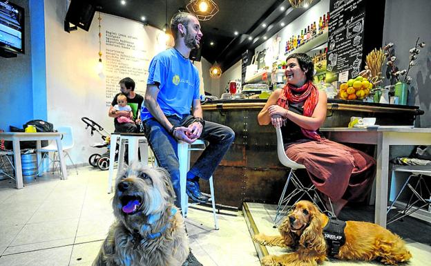 Los canes son bienvenidos en la taberna Hitzak de Bilbao. 