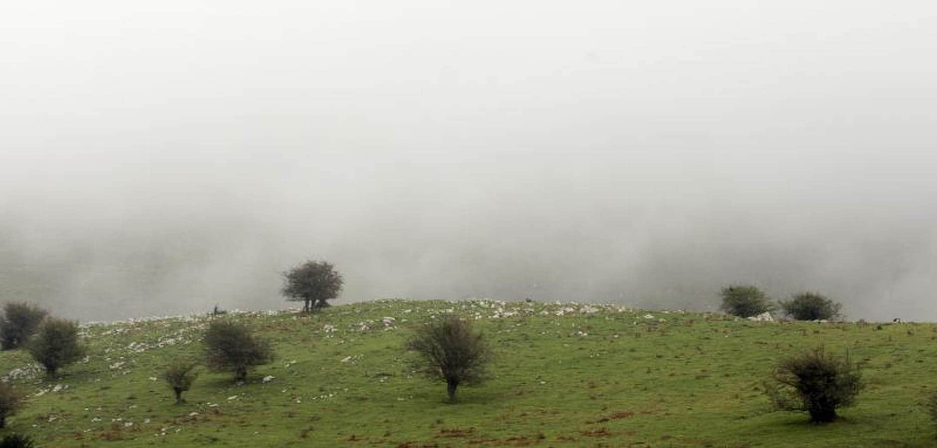 Jóvenes pastores y ganaderos de Tolosaldea y Goierri apuestan por continuar trabajando y viviendo en la sierra con sus rebaños y animales