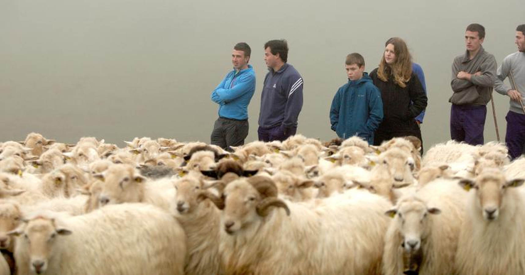 Jóvenes pastores y ganaderos de Tolosaldea y Goierri apuestan por continuar trabajando y viviendo en la sierra con sus rebaños y animales