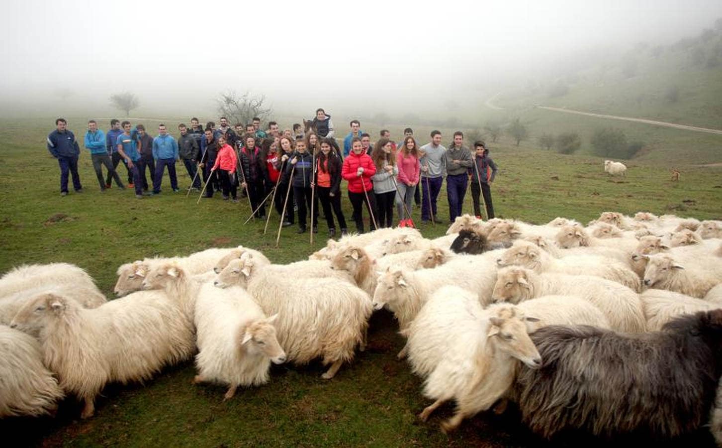 Jóvenes pastores y ganaderos de Tolosaldea y Goierri apuestan por continuar trabajando y viviendo en la sierra con sus rebaños y animales