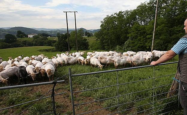 Lehen sektoreak gizarteari egiten dion ekarpen onuragarria nabarmenduko da, besteak beste, jardunaldian.