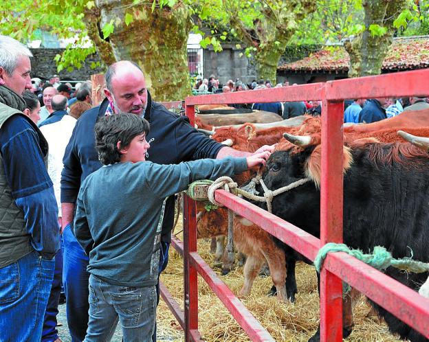 La cita será mañana en Doneztebe, donde se espera a cientos de personas.
