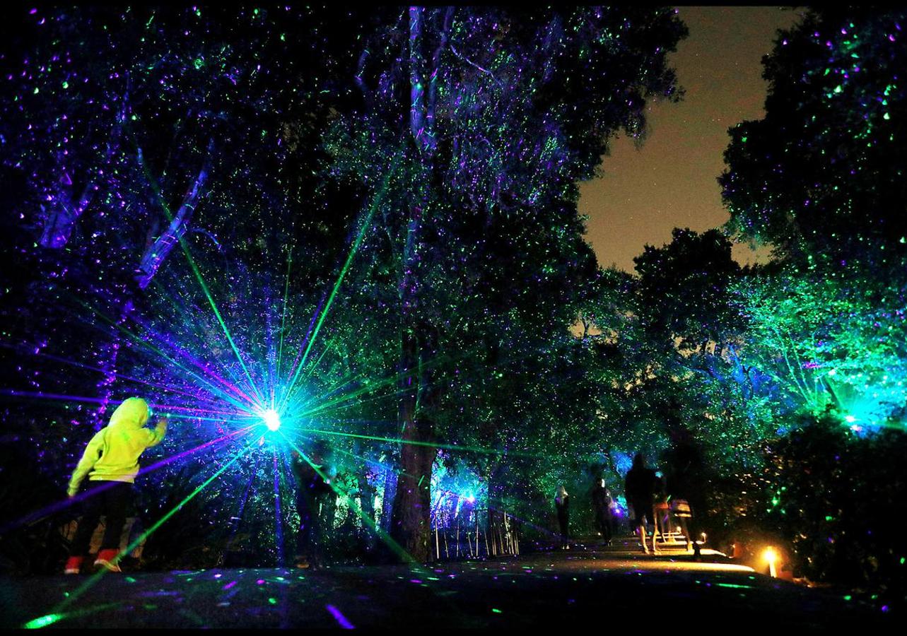 La exhibición 'Encantado: Bosque de luz' ilumina la ciudad americana. Un espectáculo interactivo a través de una experiencia única. 