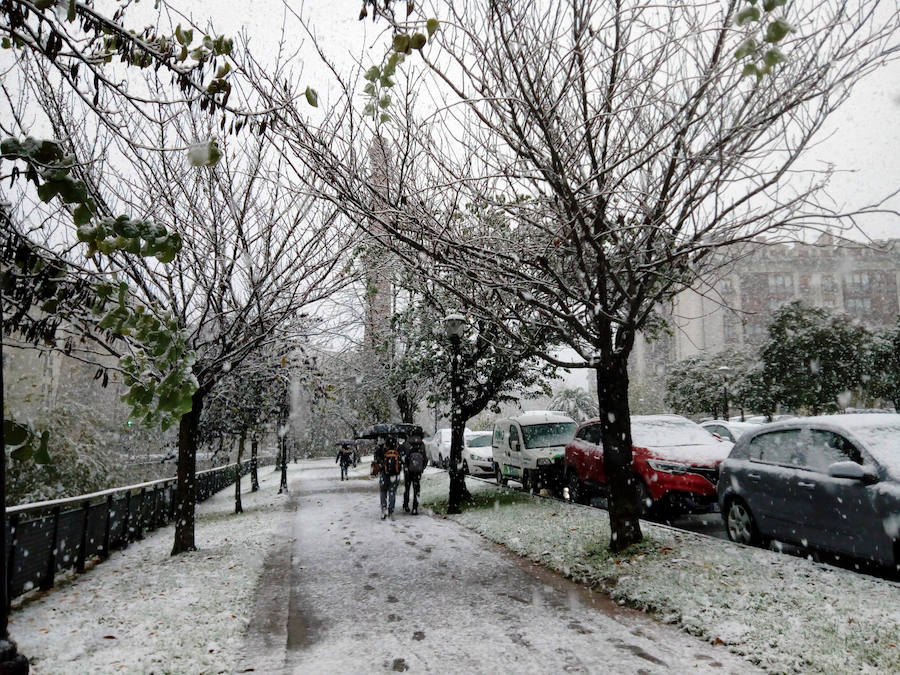 Los montes y calles de Urretxu y Zumarraga se encuentran cubiertas de nieve, lo que ha dificultado la circulación. 