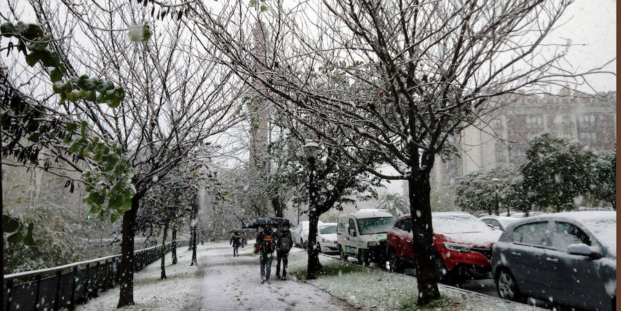 Los montes y calles de Urretxu y Zumarraga se encuentran cubiertas de nieve, lo que ha dificultado la circulación. 