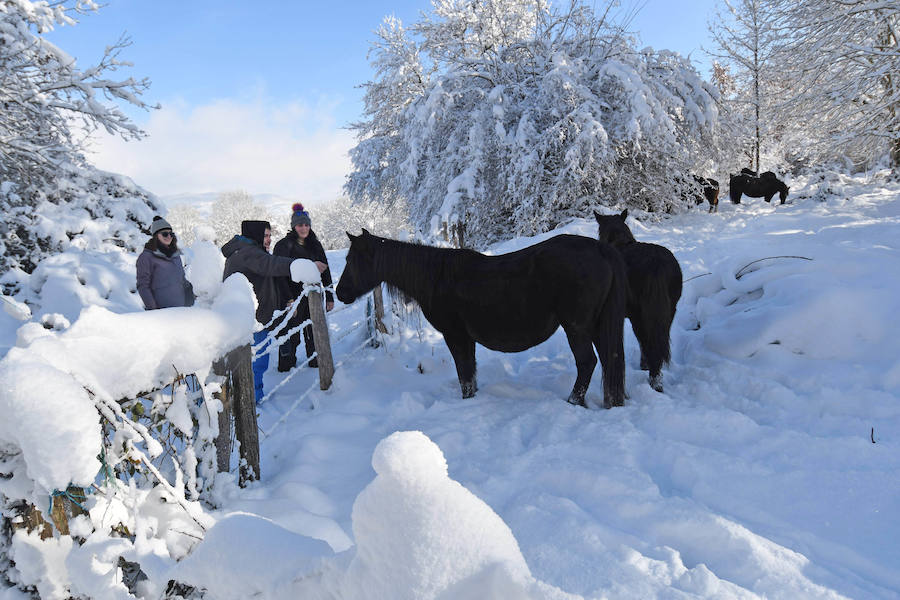 La nieve ha dejado este domingo bellas estampas invernales y familiares en la zona de Aralar, Baraibar y Lekunberri.