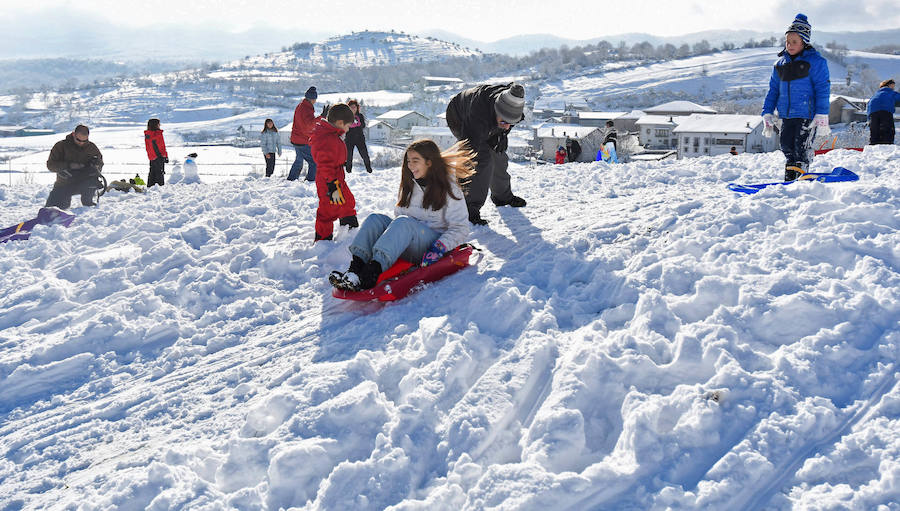 La nieve ha dejado este domingo bellas estampas invernales y familiares en la zona de Aralar, Baraibar y Lekunberri.