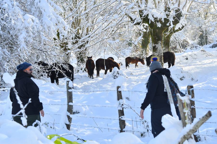 La nieve ha dejado este domingo bellas estampas invernales y familiares en la zona de Aralar, Baraibar y Lekunberri.