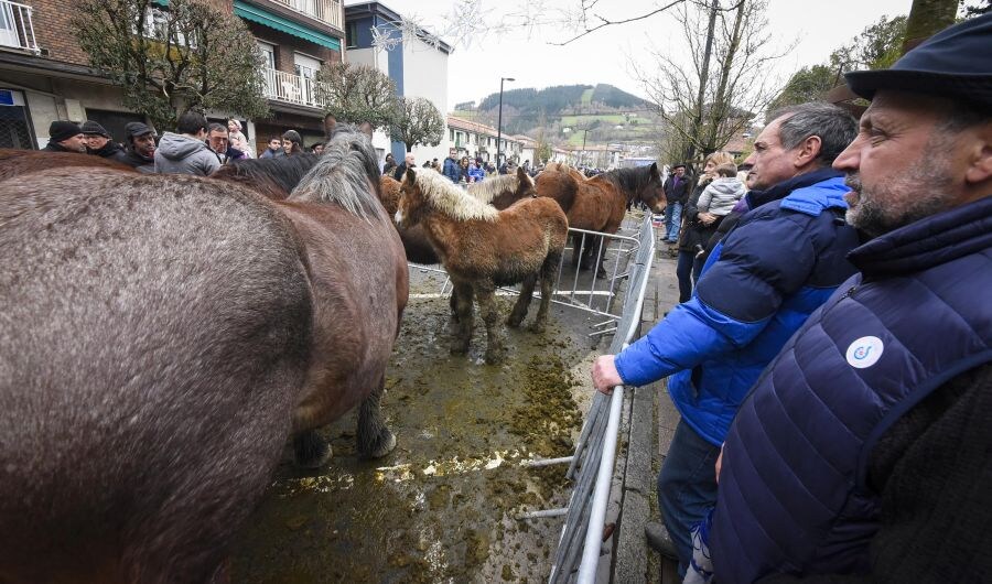 La Feria de Santa Lutzi cada año convoca concursos de ganado, verduras, manzana reineta, pollos y capones, y miel