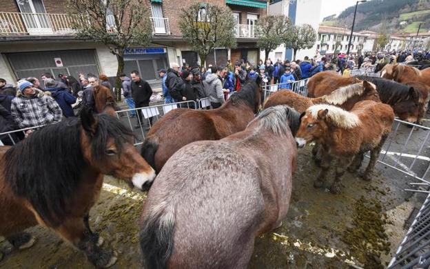 El ganado ha sido protagonista en la Feria de Santa Lucía
