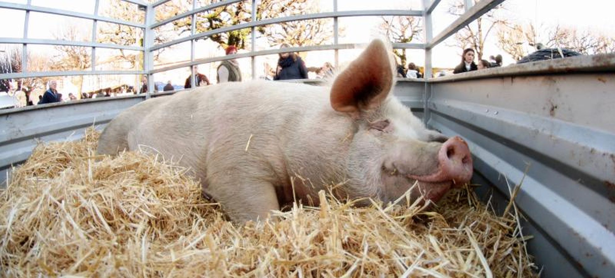 Mayores y niños disfrutan de los talos y la txistorra que se ofrecen en lo diferentes puestos de la localidad
