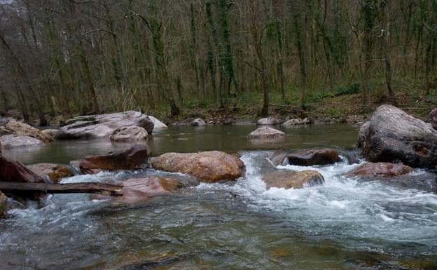 El cadáver hallado en un canal del río Leitzaran en Andoain es el de un vecino de la localidad de 68 años