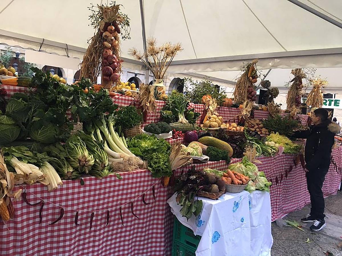 Arranca el Santo Tomas de 2017 y la plaza Constitución ya está lista para recibir a la gente. Los más madrugadores ya han podido ver a Úrsula.