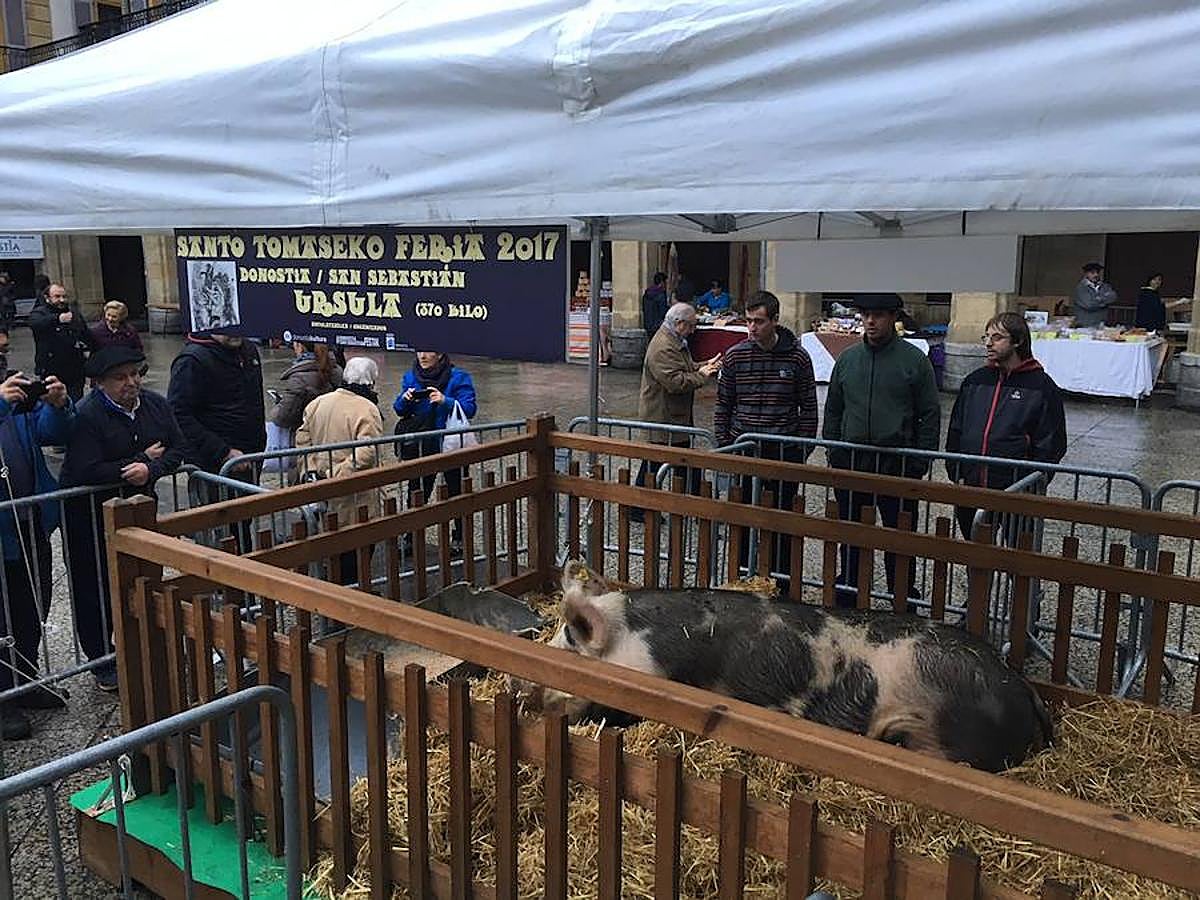 Arranca el Santo Tomas de 2017 y la plaza Constitución ya está lista para recibir a la gente. Los más madrugadores ya han podido ver a Úrsula.