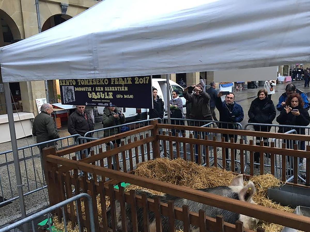 Arranca el Santo Tomas de 2017 y la plaza Constitución ya está lista para recibir a la gente. Los más madrugadores ya han podido ver a Úrsula.