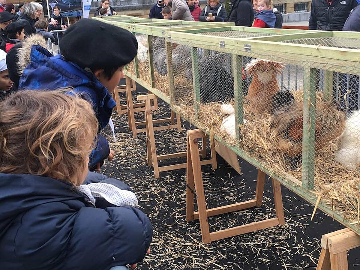 Arranca Santo Tomás y Donostia está lista para recibir a la gente.