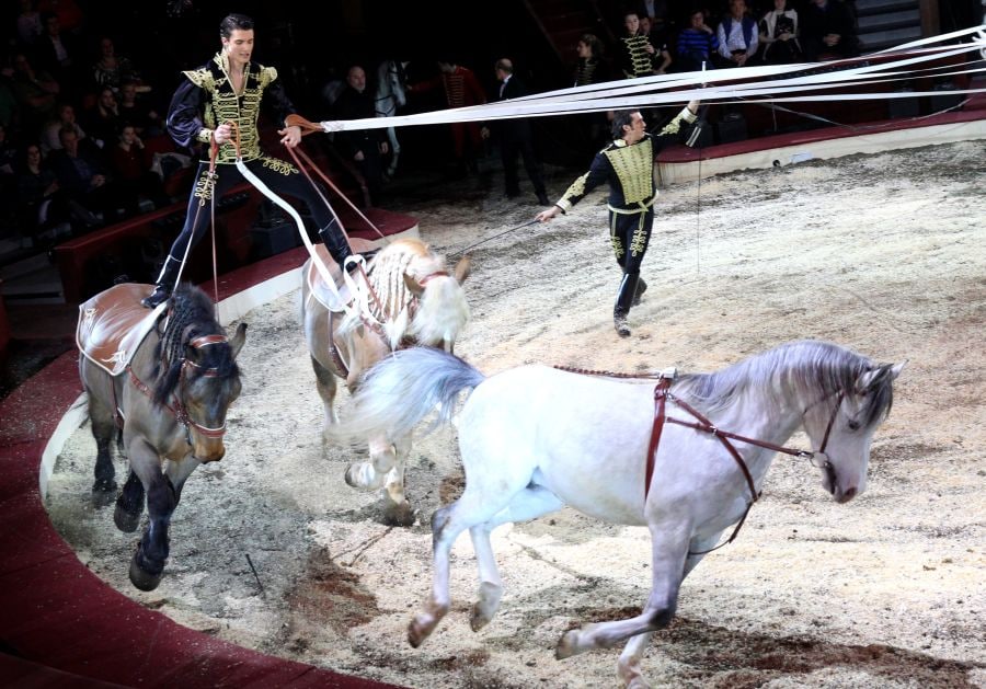 165 artistas de 20 países del mundo participan durante cuatro días en el XII Festival Internacional de Circo de Budapest