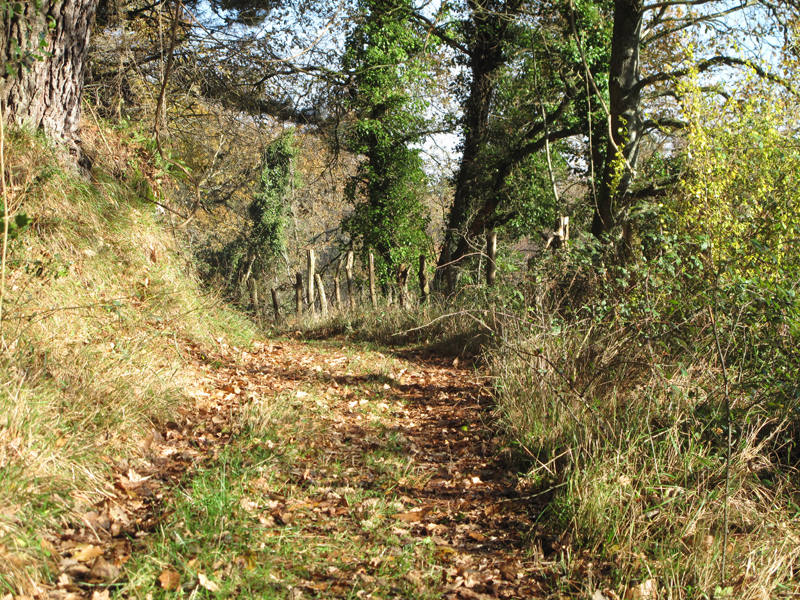 Muy cerca del centro geográfico de Gipuzkoa, en el valle de Salubita, el paso del tiempo y el vertiginoso descenso del río Igaran han esculpido la tierra a su antojo