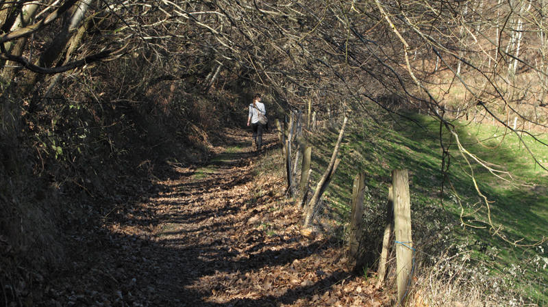 Muy cerca del centro geográfico de Gipuzkoa, en el valle de Salubita, el paso del tiempo y el vertiginoso descenso del río Igaran han esculpido la tierra a su antojo