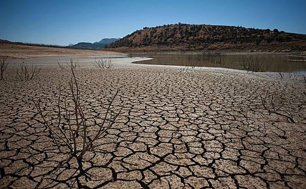 Las altas temperaturas castigaron de forma notable la Reserva de Guadalteba (Málaga). 