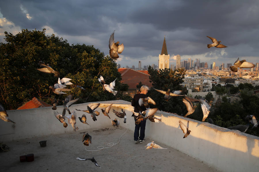 Tel Aviv, la acelerada capital económica de Israel, tiene buenas vistas. Con el espacio vital ajustado y escaso, los habitantes de la populosa metrópoli mediterránea sólo necesitan instalarse en sus propios tejados para gozar. Las azoteas de buena parte de los edificios de la ciudad se han transformado en hermosos jardines al aire libre, restaurantes, centros de instrucción e incluso estudios de arte y yoga.