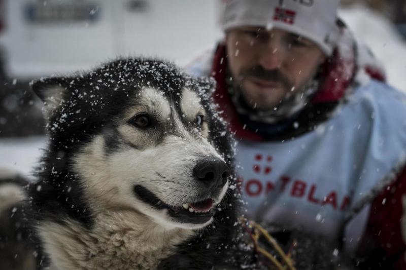 La Grand Odyssee es una carrera internacional de trineos tirados por perros, que discurre a lo largo de 1000 kilómetros entre los alpes suizos y franceses. En la prueba, que tiene una duración de dos semanas, compiten trineos arrastrados por hasta 14 perros de diferentes razas, con experiencia en largas y medias distancias, y se atraviesan más de veinte estaciones de esquí. Un equipo de veterinarios se ocupa de controlar la salud de los animales a lo largo de la competición. Algunos incluso llevan pequeñas botas para proteger sus patas del frío.