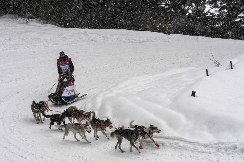 La Grand Odyssee es una carrera internacional de trineos tirados por perros, que discurre a lo largo de 1000 kilómetros entre los alpes suizos y franceses. En la prueba, que tiene una duración de dos semanas, compiten trineos arrastrados por hasta 14 perros de diferentes razas, con experiencia en largas y medias distancias, y se atraviesan más de veinte estaciones de esquí. Un equipo de veterinarios se ocupa de controlar la salud de los animales a lo largo de la competición. Algunos incluso llevan pequeñas botas para proteger sus patas del frío.