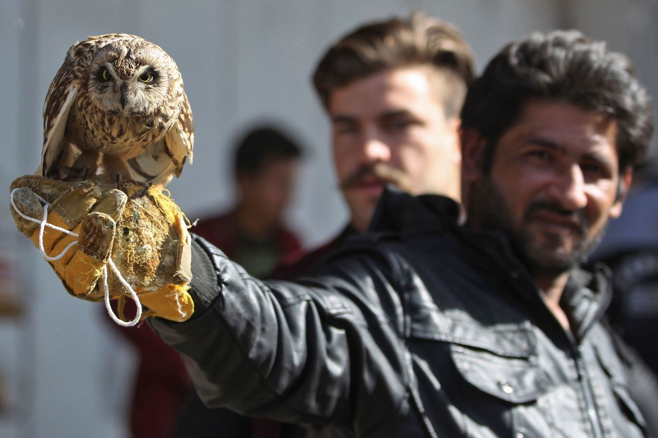 Mercado de animales en Bagdad