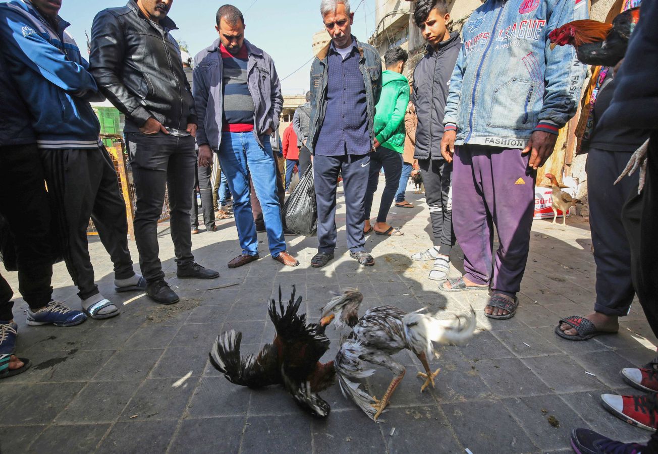 Mercado de animales en Bagdad