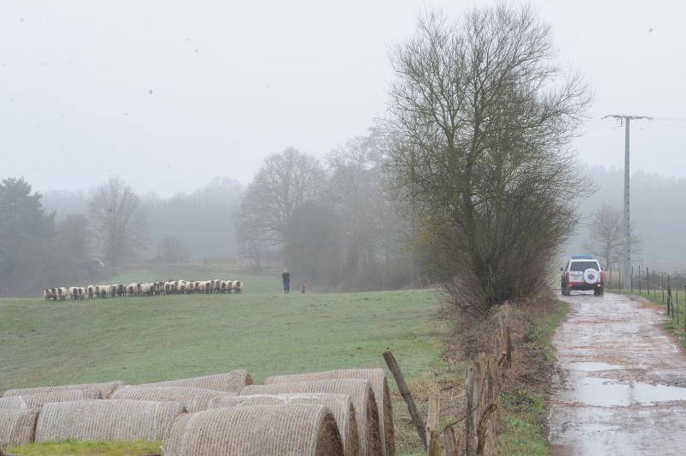 Un grupo de voluntarios formado por amigos y familiares de Jon Bárcena, el joven desaparecido en el Gorbea el pasado 30 de diciembre, ha hallado el cuerpo del montañero vizcaíno en el entorno del pantano de Urrunaga, en el término municipal de Legutio (Álava).