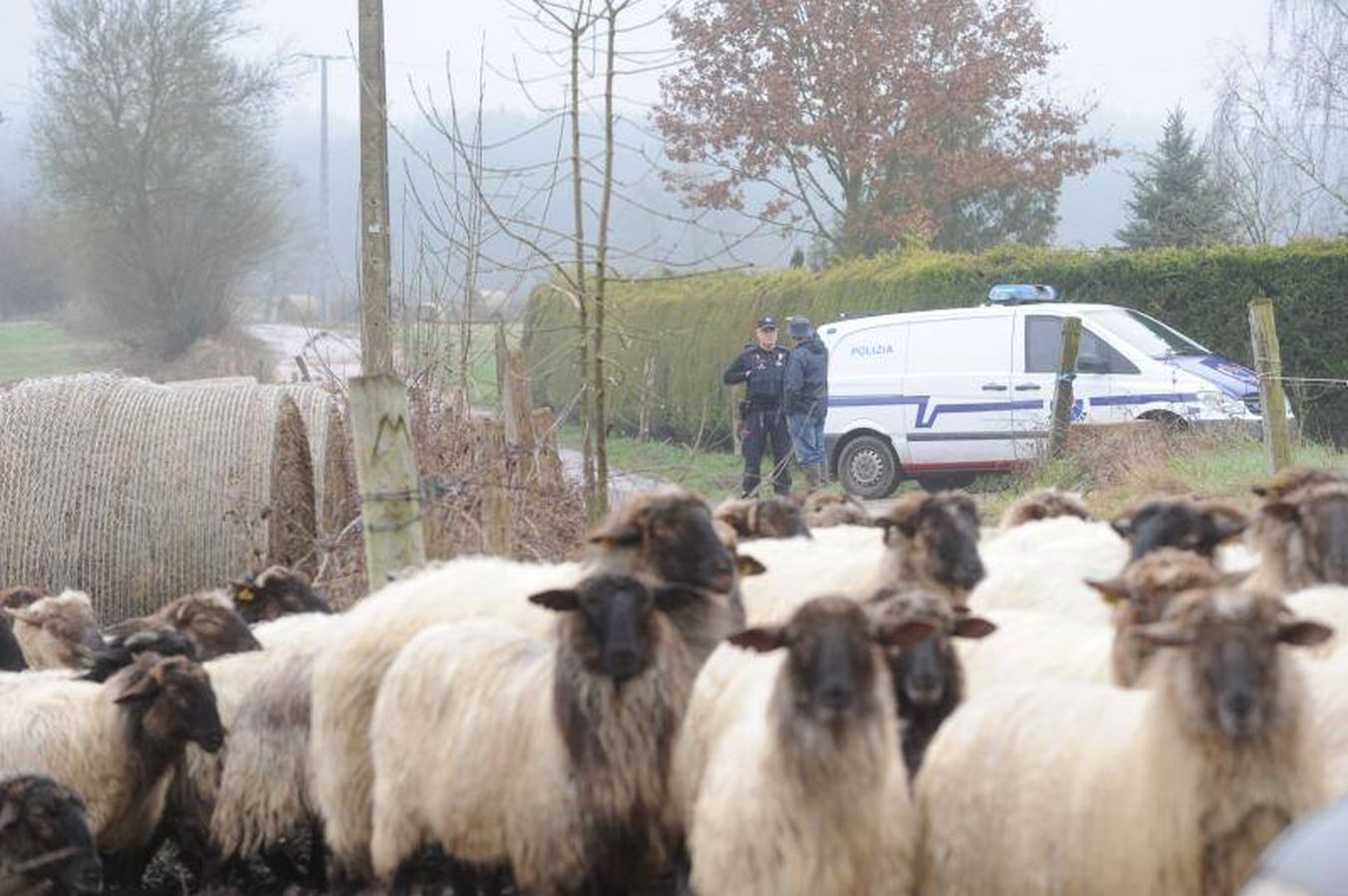 Un grupo de voluntarios formado por amigos y familiares de Jon Bárcena, el joven desaparecido en el Gorbea el pasado 30 de diciembre, ha hallado el cuerpo del montañero vizcaíno en el entorno del pantano de Urrunaga, en el término municipal de Legutio (Álava).
