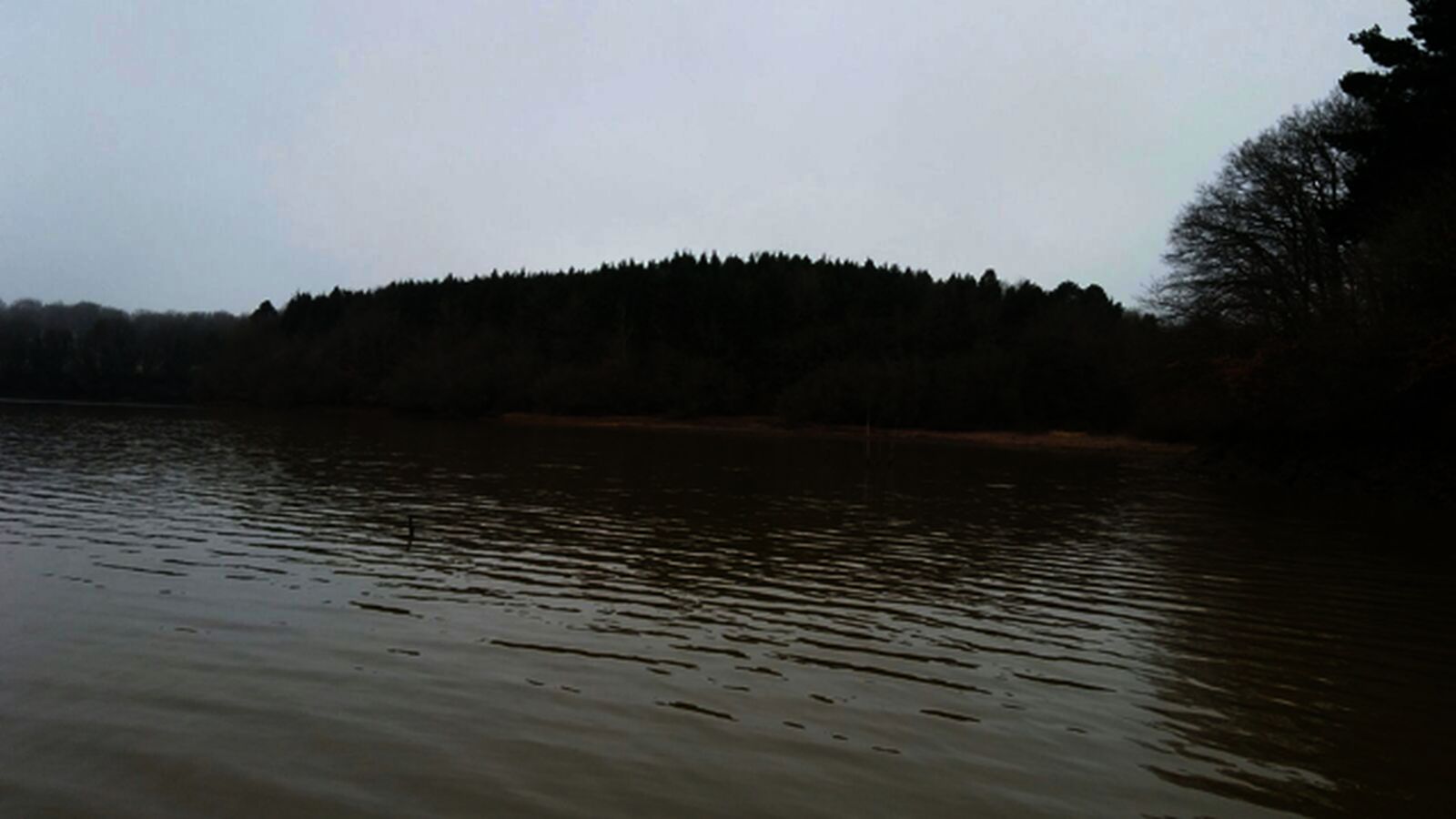 Un grupo de voluntarios formado por amigos y familiares de Jon Bárcena, el joven desaparecido en el Gorbea el pasado 30 de diciembre, ha hallado el cuerpo del montañero vizcaíno en el entorno del pantano de Urrunaga, en el término municipal de Legutio (Álava).