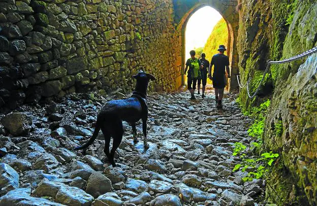 ¿Quién anda ahí? Fotografía tomada por Txakel Urarte en la bajada de la cueva de San Adrián, uno de sus lugares de paseo favoritos. 