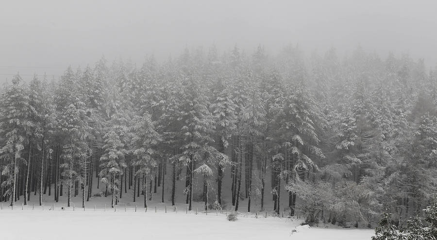 La nieve ha cubierto los montes de las zonas de Etzegarate y Deskarga, dejando bellas estampas invernales y problemas en la circulación.