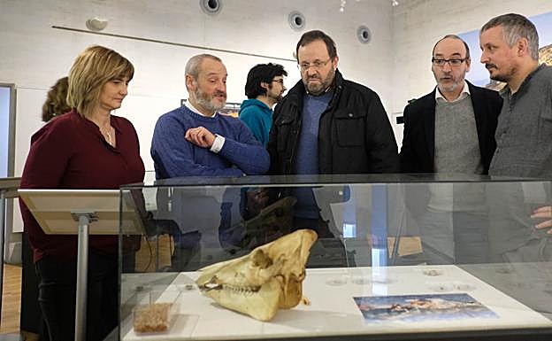 Un viaje de 8.300 años desde Hondarribia